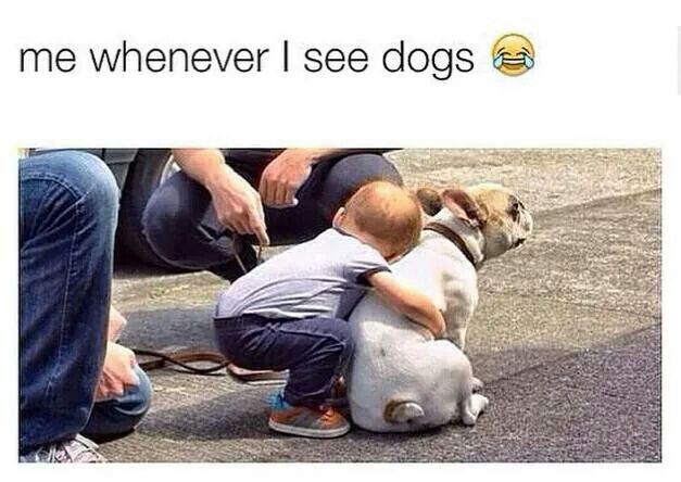Memes that define you?
