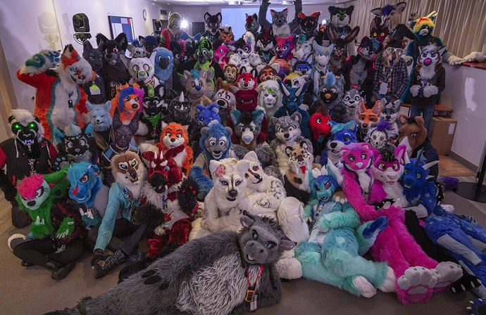 What do you think about furries?