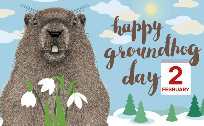 It’s The 2nd Of February It’s Groundhog Day So Will The Groundhog See His Shadow?