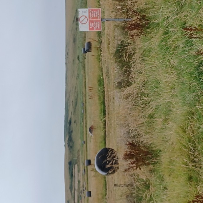 Which no go area looks worth a look around?