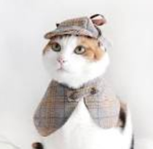 Purrlock