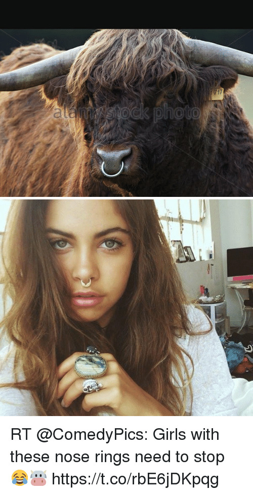 Do you think a septum piercing would suit me or not?