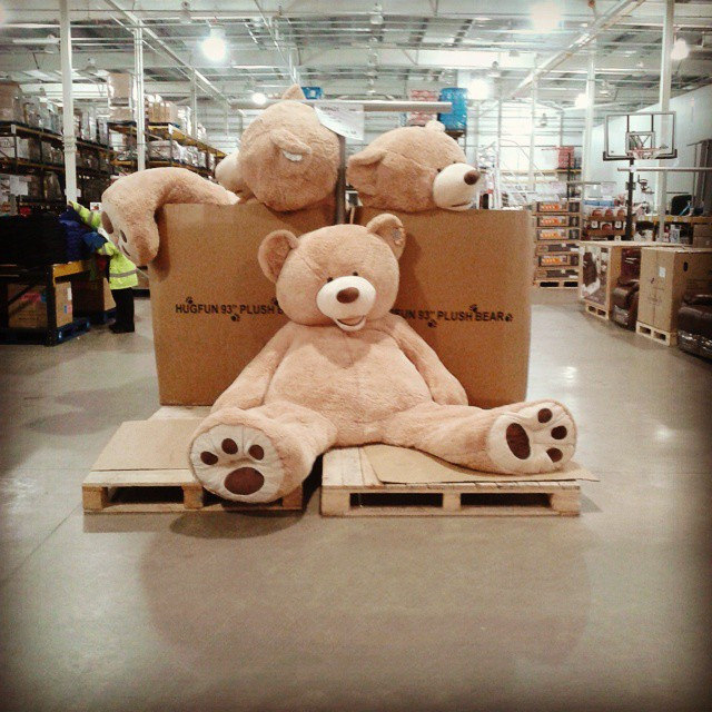 Do you love teddy bears?