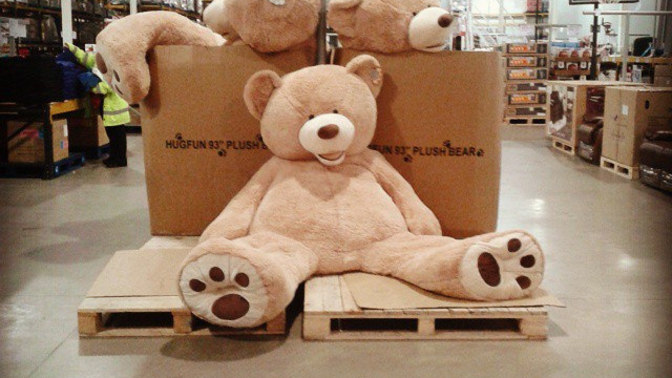 Do you love teddy bears?