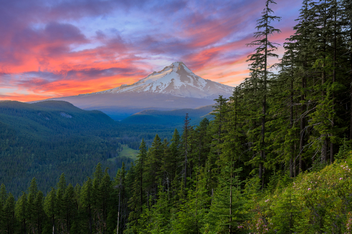 Oregon vs Minnesota. Which state would YOU rather live in ?