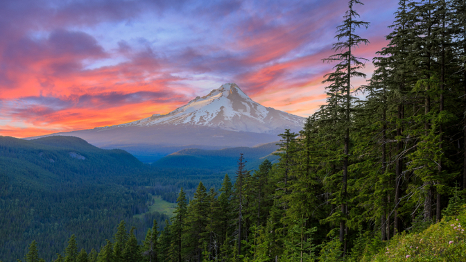 Oregon vs Minnesota. Which state would YOU rather live in?