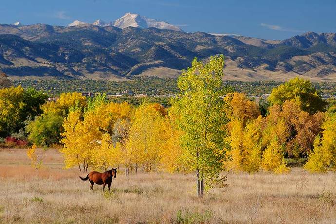 You’re forced into living in one of these two towns. What’s your pick ?