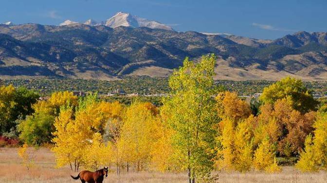 You’re forced into living in one of these two towns. What’s your pick?