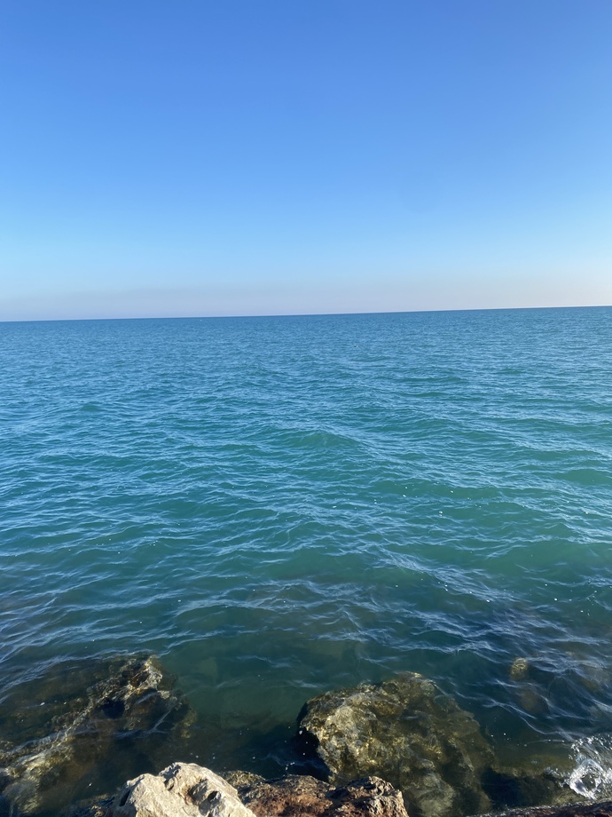 WHAT ARE YOU DOING RIGHT NOW AT THIS MOMENT?
