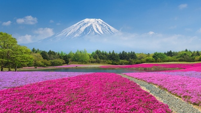 What are some good places to visit and do in Japan in summertime?
