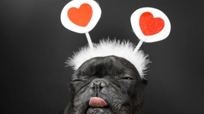 What annoys you the most about Valentine’s Day?