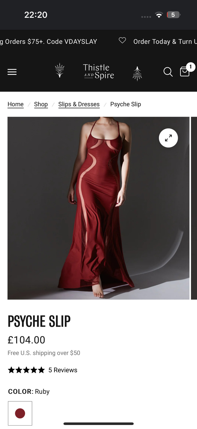 Guys what do you think of this sexy dress?