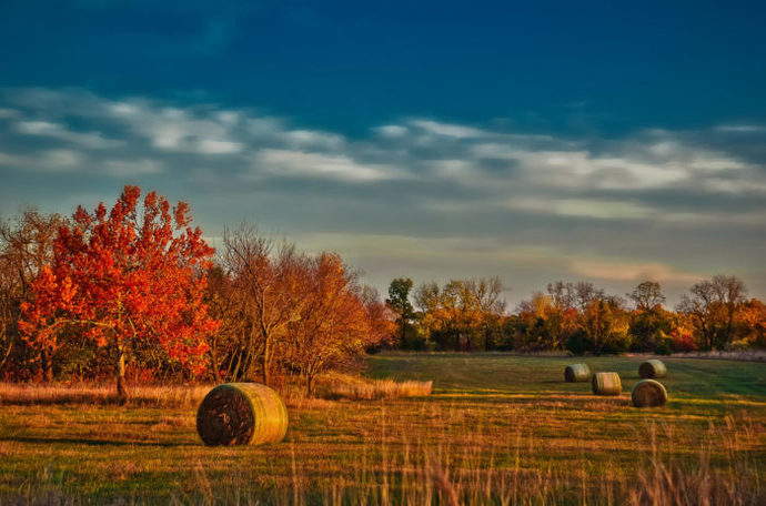 California vs Kansas. Which state would YOU rather live in ?