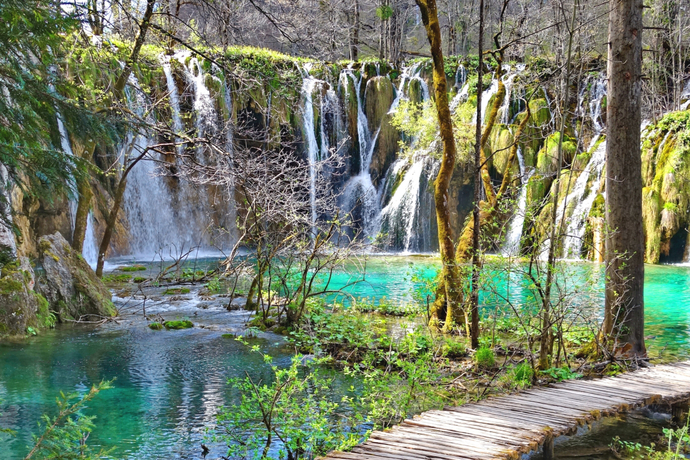 Which nature scene is more beautiful ?