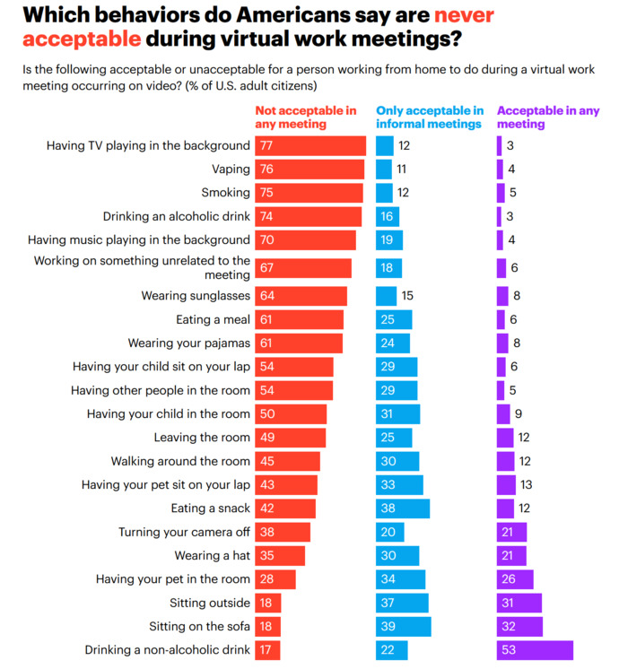 What is ACCEPTABLE during VIRTUAL ONLINE MEETINGS?