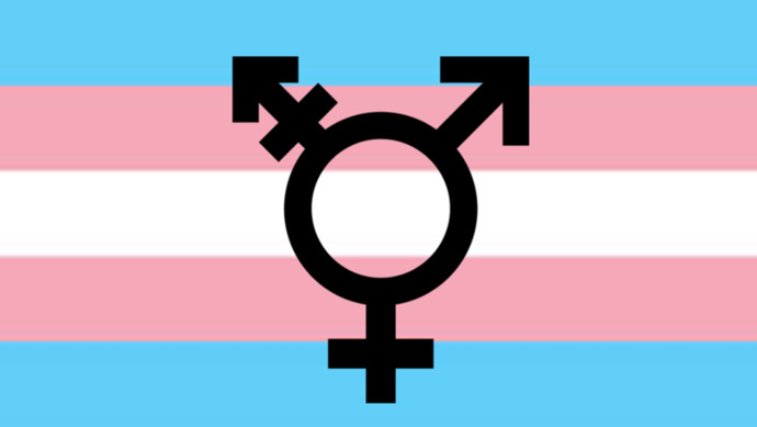 How do I befriend Kathoeys or ladyboys?