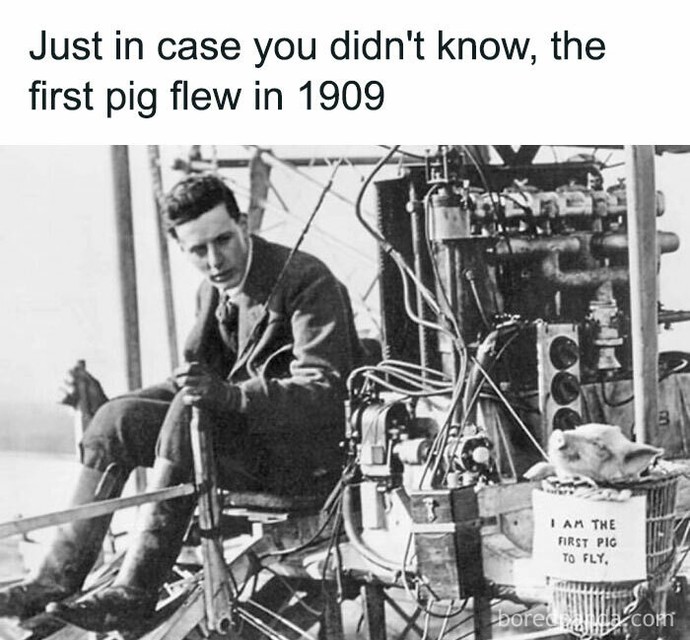 Which animal goes oink? No cheating. This is a tough one?