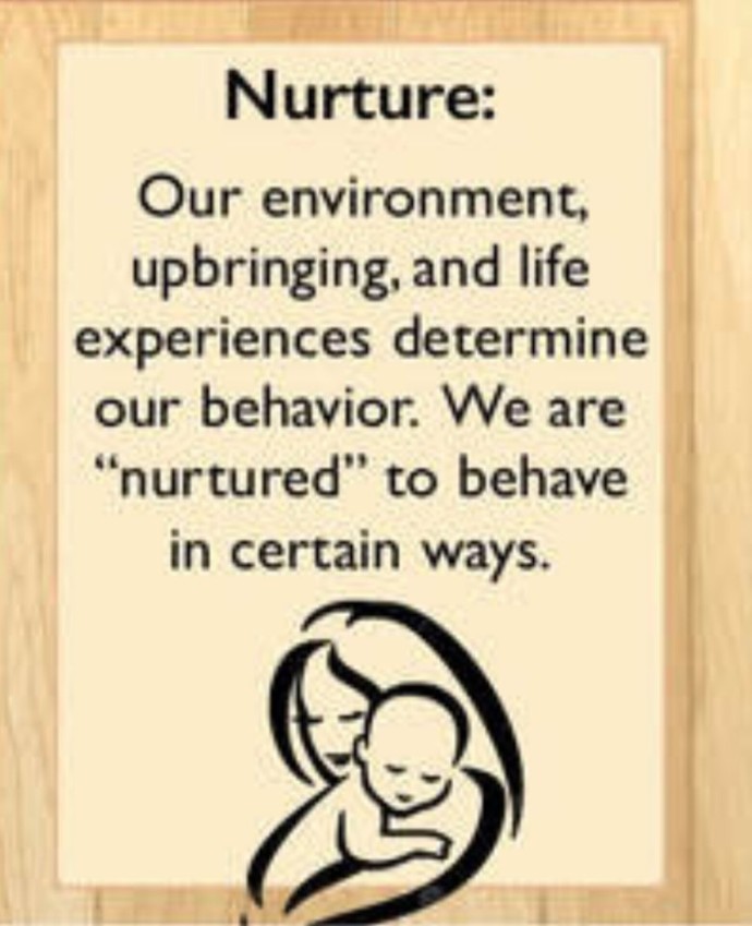 Do you believe that peoples personalities are ultimately affected more by their genetics or their environment, peers, and other factors?