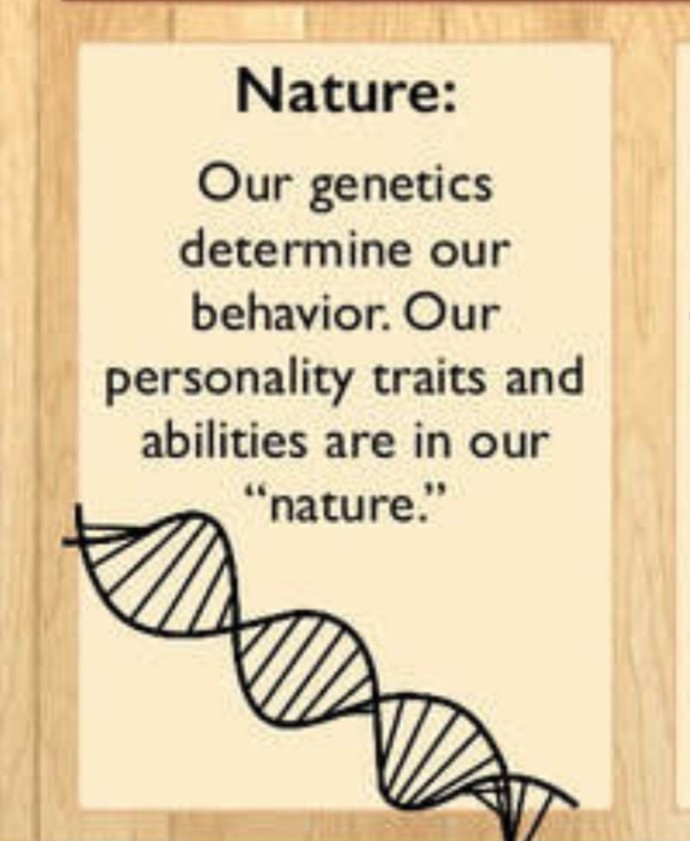 Do you believe that peoples personalities are ultimately affected more by their genetics or their environment, peers, and other factors?