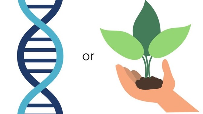 Do you believe that peoples personalities are ultimately affected more by their genetics or their environment, peers, and other factors?