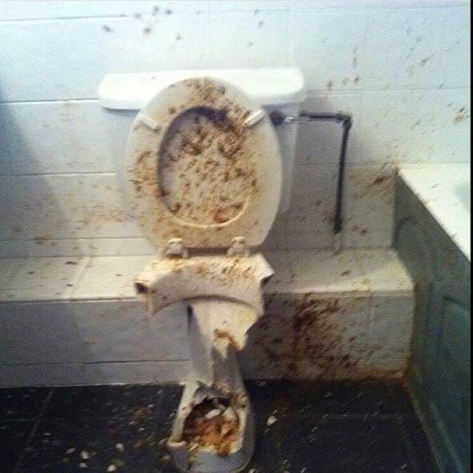 Do you think diarrhea and constipation are the same thing?