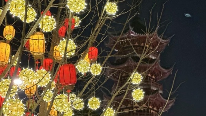 Do you like East Asian culture?