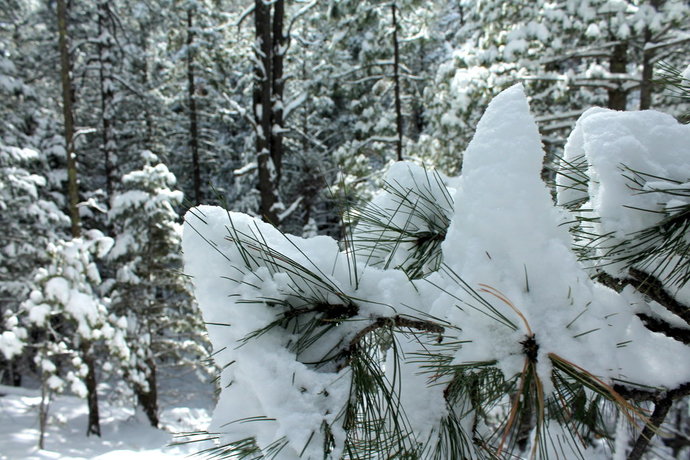 Anyone get hammered by snow today?