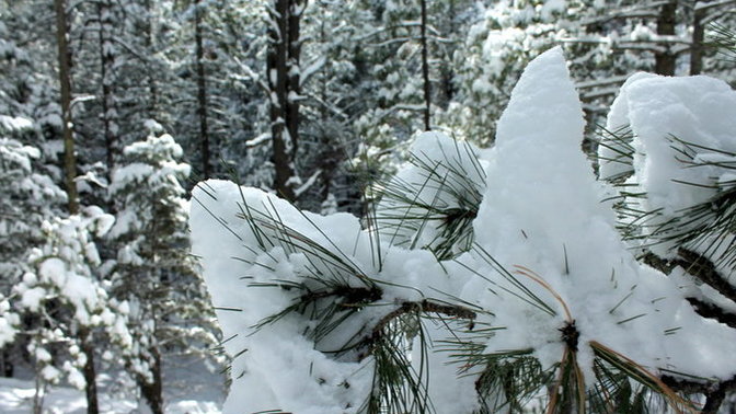 Anyone get hammered by snow today?