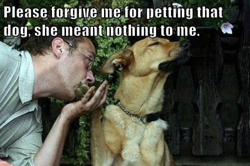 Do you have a jealous pet? How do you prevent your pet from being jealous of your partner or new pet?