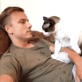 Do you have a jealous pet? How do you prevent your pet from being jealous of your partner or new pet?