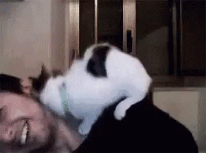 Do you have a jealous pet? How do you prevent your pet from being jealous of your partner or new pet?