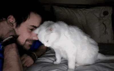 Do you have a jealous pet? How do you prevent your pet from being jealous of your partner or new pet?