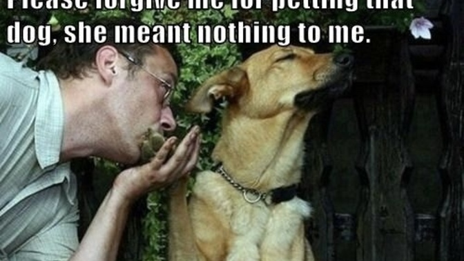Do you have a jealous pet? How do you prevent your pet from being jealous of your partner or new pet?