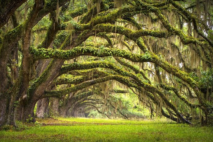 Vermont vs South Carolina. Which state would YOU rather live in ?