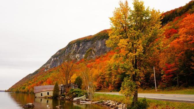 Vermont vs South Carolina. Which state would YOU rather live in?