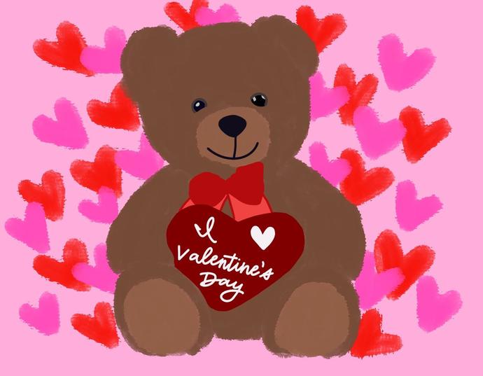 What are your plans for Valentines Day?