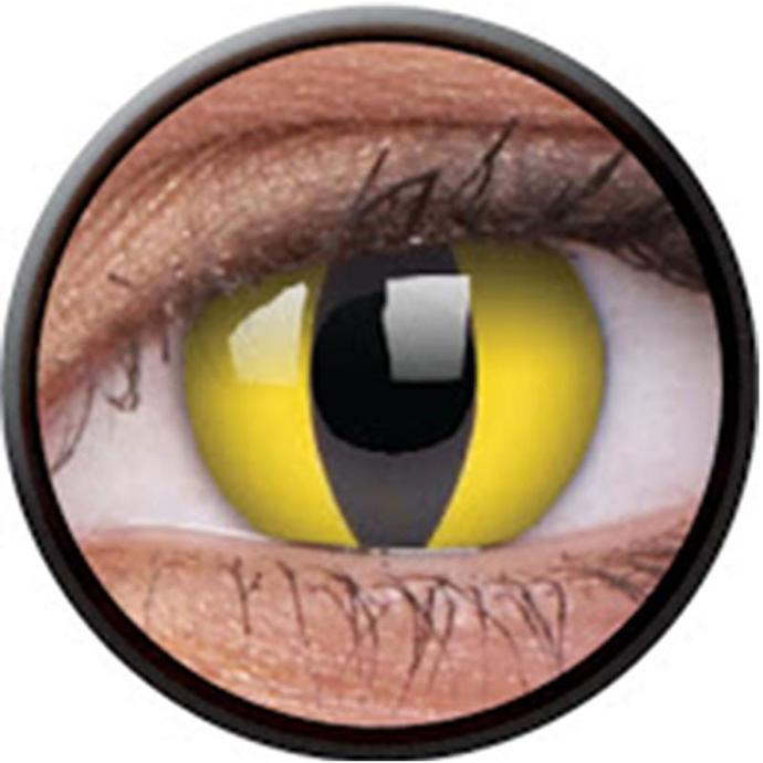How important is a person's eye colour to you when determining their physical attractiveness?