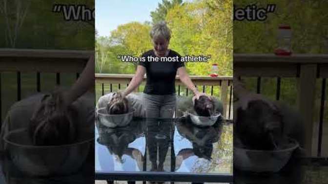 Would you do this to your kids?