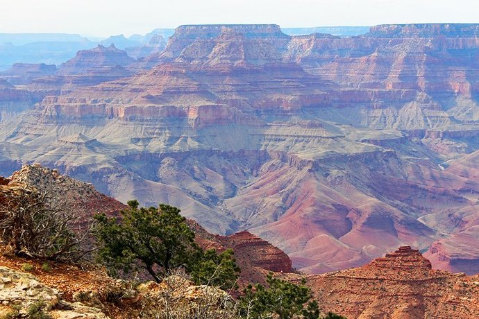 Arizona vs Washington. Which state would YOU rather live in ?