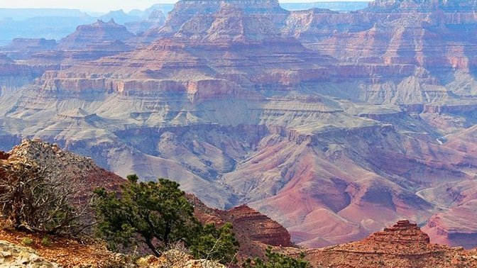 Arizona vs Washington. Which state would YOU rather live in?