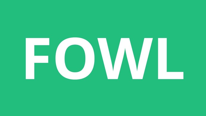 What FOWL is the TASTIEST?