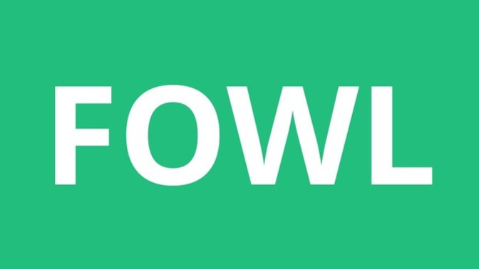 What FOWL is the TASTIEST?