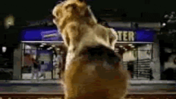 Let’s having a freaking gif dance off! Would you mind dancing with me?