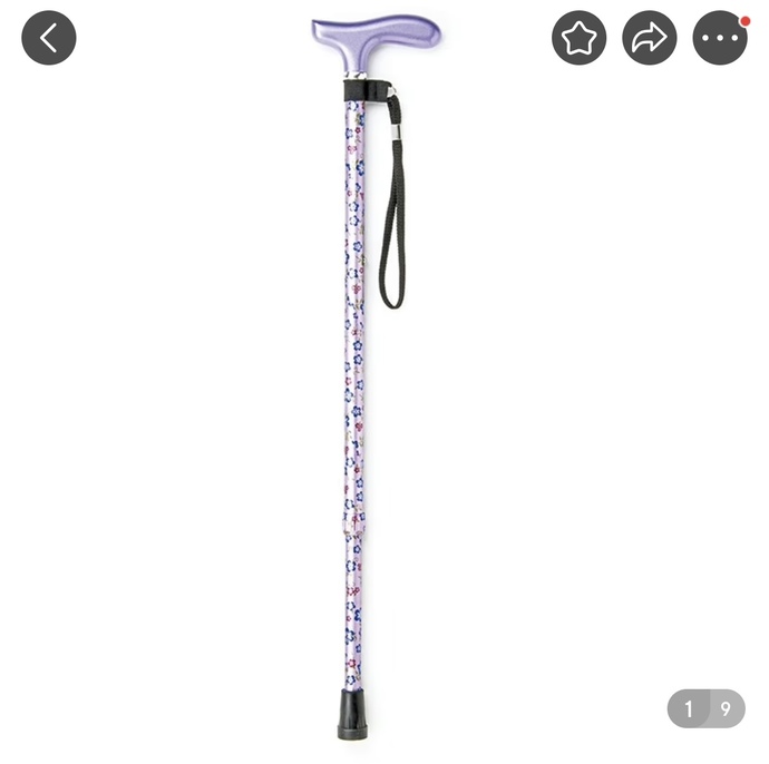 Which cane is the most stylish?