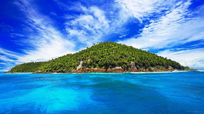 What is your desert island book, CD, and movie?