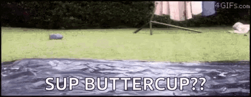 Have you ever made a smooth recovery?