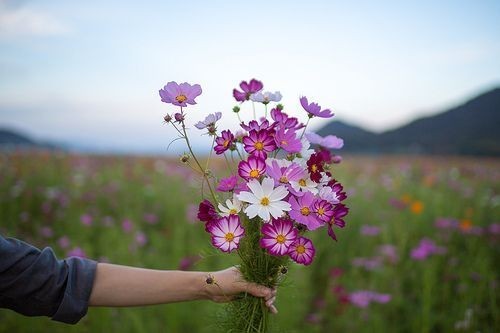 Do you believe in the concept of giving flowers?