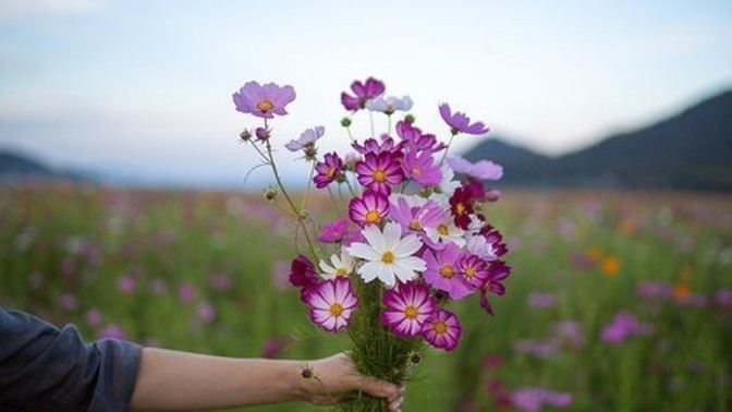 Do you believe in the concept of giving flowers?