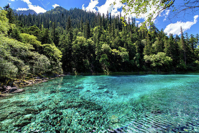 Which nature scene do you like more?