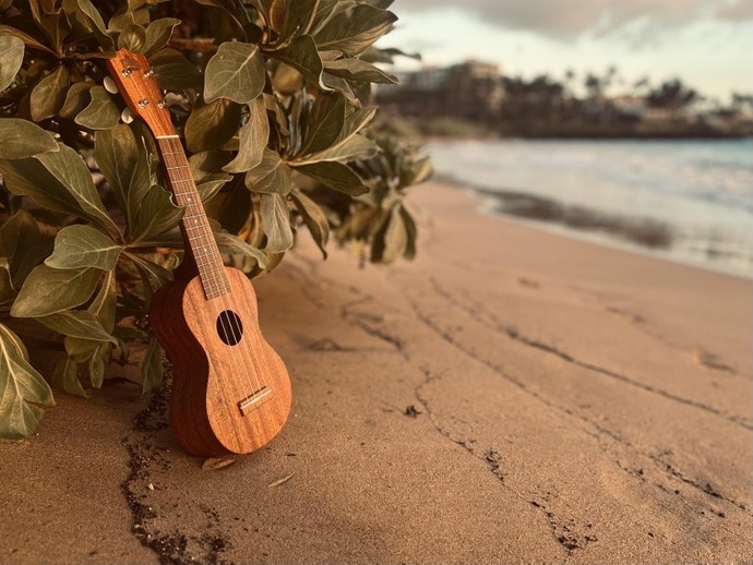 If you had the power to instantly master any ONE musical instrument, which one would you choose and why?